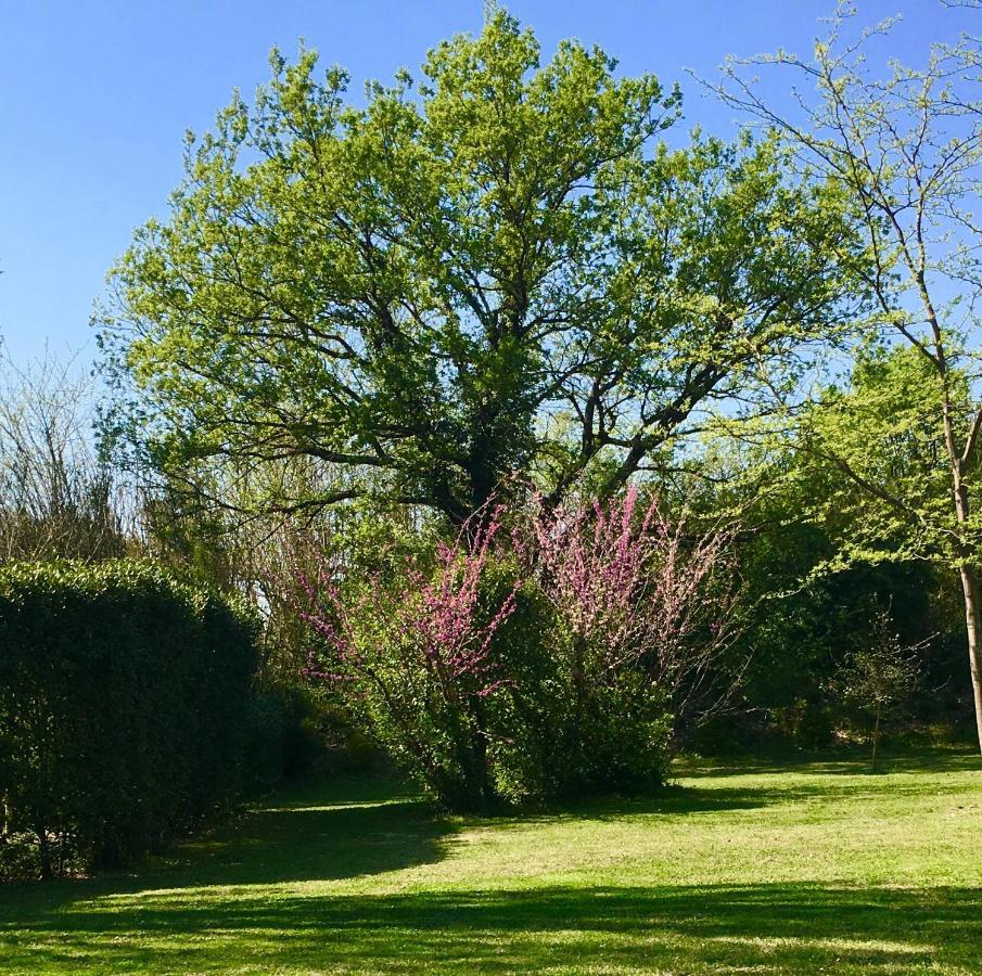 Maison d'hôtes Campagne-Baudeloup LʼIsle-sur-la-Sorgue Extérieur photo