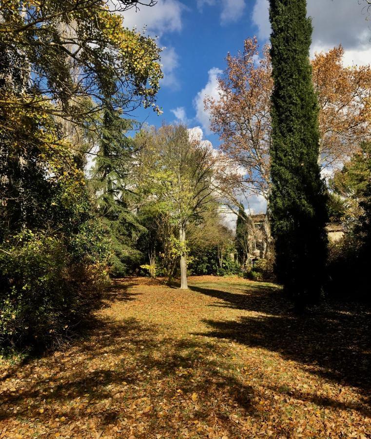 Maison d'hôtes Campagne-Baudeloup LʼIsle-sur-la-Sorgue Extérieur photo